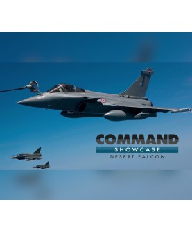 Command: Showcase - Operation Desert Falcon DLC Steam Key GLOBAL